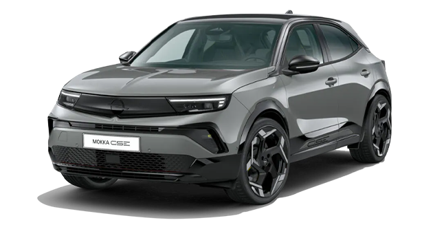 Mokka GSE